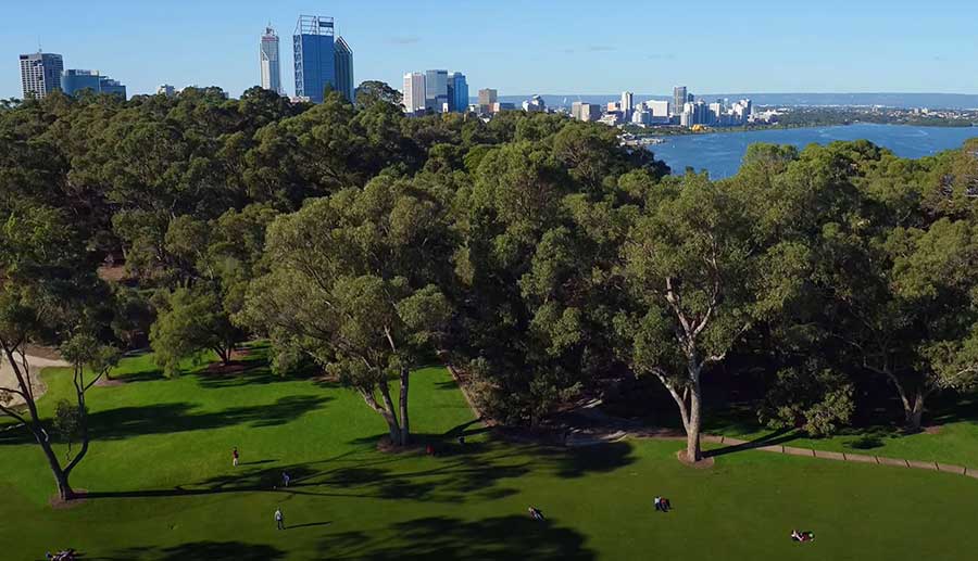 Kings Park Wildflower Festival Perth