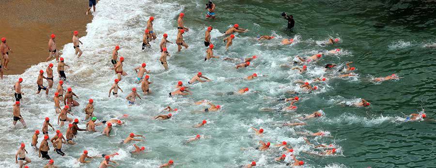 Cole Classic Swim - Manly